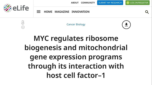 可以“融化”肿瘤的卵白质，，，你一定没有听说过！