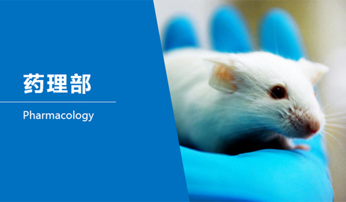 GA黄金甲临床前研究-药理部