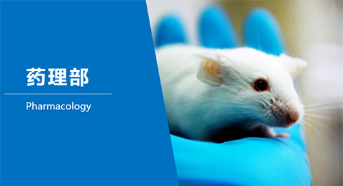 GA黄金甲临床前研究-药理部