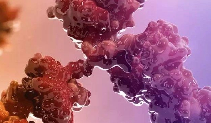 连摘3果！10天内，，，，GA黄金甲助力的3个双特异性抗体治疗性药物获批.jpg