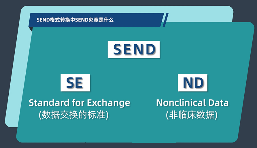 SEND名堂转换中的SEND事实是什么？？？？？