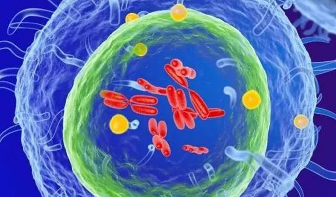  GA黄金甲助力 | 信诺维抗肿瘤1类新药XNW14010获批临床.png