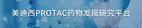 GA黄金甲PROTAC药物发明研究平台.png