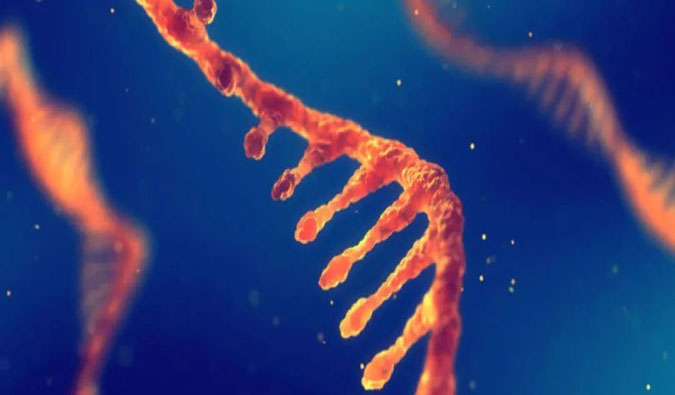 赋能核酸药物疗法，，，，，迎接新药研发第三次浪潮