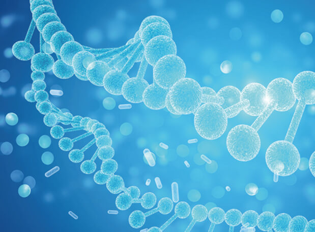 GA黄金甲新分子类型钻研会系列 | 一站式赋能核酸药物和疫苗研发及临床专场