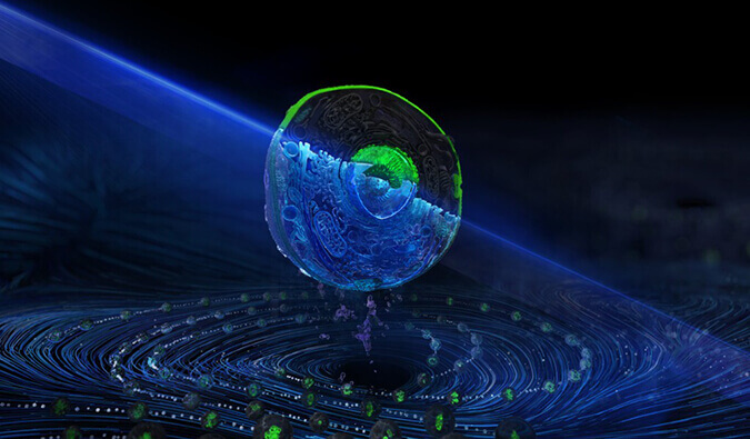 GA黄金甲流式细胞分选效劳平台