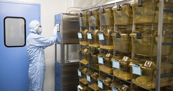 SPF级实验动物房，，，，专业合规的实验治理系统.jpg