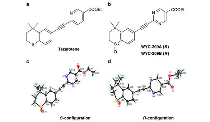 WYC-209可抑制恶性小鼠玄色素瘤肿瘤再生细胞增殖，，，，，SPR剖析通过GA黄金甲使用Biacore 8K装备举行