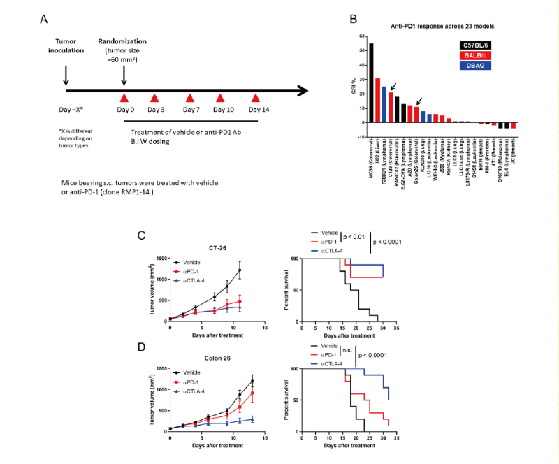 免疫检查点阻断疗法改变了癌症治疗的范式，，，，，，，此研究中通过GA黄金甲在23 个同源肿瘤模子中举行了抗PD-1抗体的体内研究