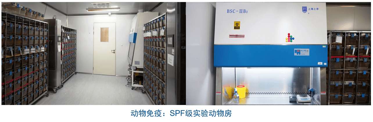 GA黄金甲杂交瘤手艺平台装备-动物免疫SPF级实验动物房