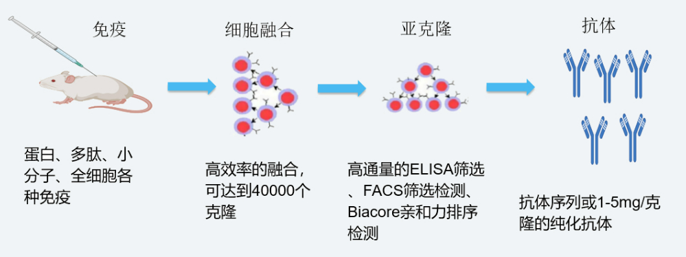 GA黄金甲杂交瘤手艺平台开发流程