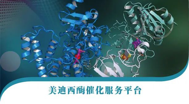 GA黄金甲酶催化效劳平台.jpg