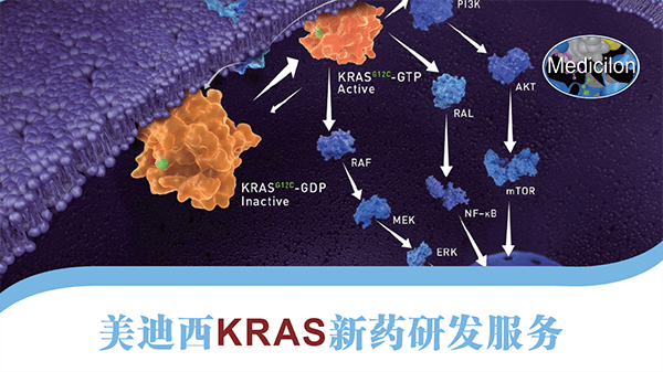 KRAS新药研发效劳