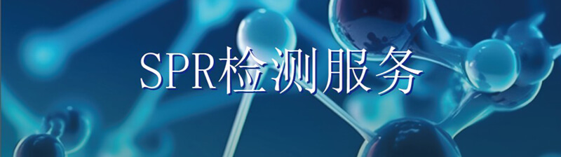 SPR检测效劳