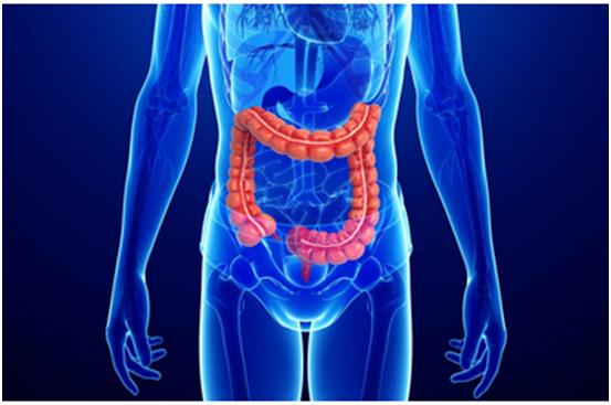 GA黄金甲一站式助力 | 宝太生物首其中美双报立异药获批
