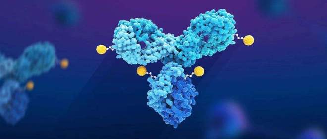 天下肿瘤日聚焦：AACR年会引领全球肿瘤新药趋势，，，，，，国产药引领风潮