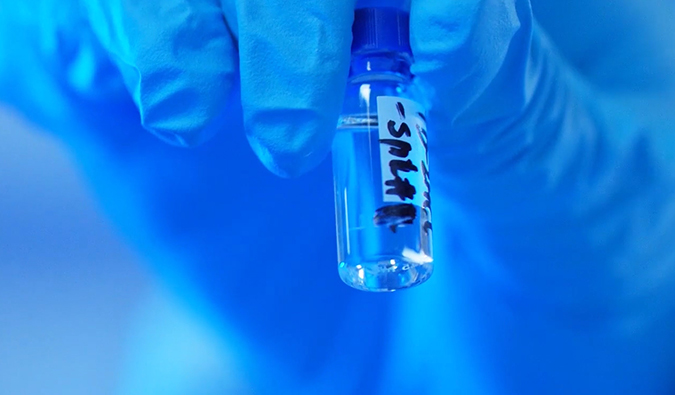 GLP-1“竞速赛”何以夺魁？？？？