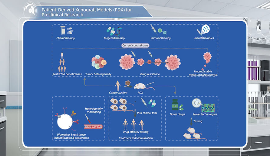 什么是临床前研究的PDX（人源肿瘤异种移植）模子？？？？？？