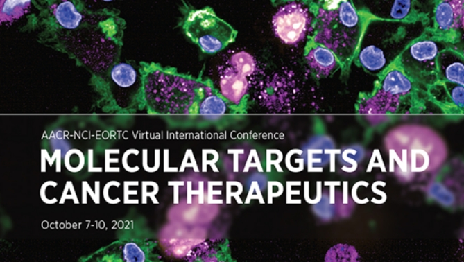 通过联合治疗提高免疫疗法疗效，，，，，本研究中临床前体内药效研究通过GA黄金甲举行